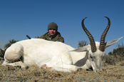 White springbok