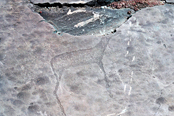 На правом берегу реки Чуя расположено знаменитое скопление петроглифов (наскальных рисунков) на скале Калбак-Таш