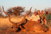 Kudu (Khamab Kalahari Reserve)