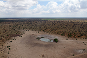 Ландшафт в Khamab Kalahari Reserve