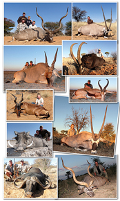 Трофеи в Khamab Kalahari Reserve