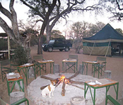 Охотничий лагерь в Timbavati Private Game Reserve