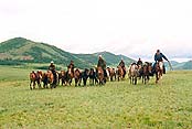 Экспедиции. Монголия