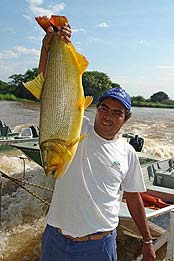 Рыбалка. Бразилия