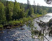 Мурманская  область. Рыболовная база Вува.